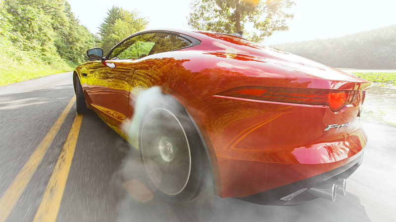 Illustration for article titled Have you seen this cat? The Jaguar F-Type R Coupe is awesome.